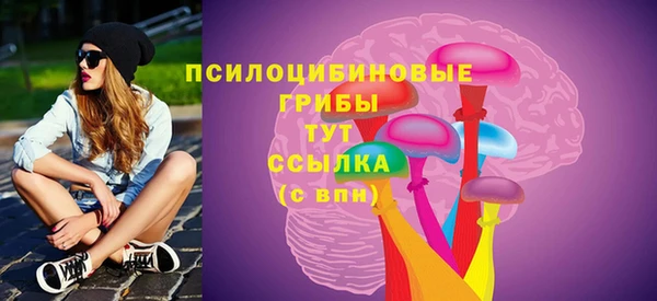 прущие грибы Заволжье