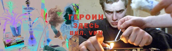 прущие грибы Заволжье