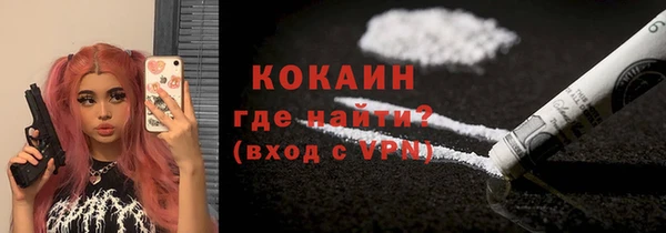 прущие грибы Заволжье