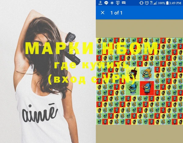 прущие грибы Заволжье