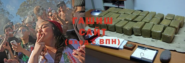 прущие грибы Заволжье