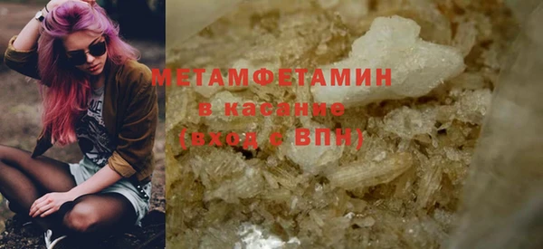 прущие грибы Заволжье